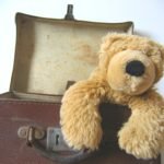Travel Teddy