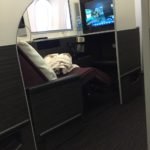 Japan Airlines Business Class25