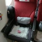 Japan Airlines Economy Class 3