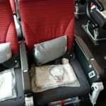 Japan Airlines Economy Class 4