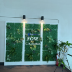 ROSE-SAIGON-6